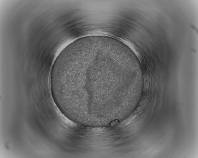 X0000096411387200802141531