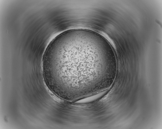 X0000096411388200802141531