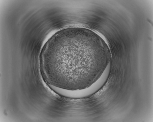 X0000096411389200802141531