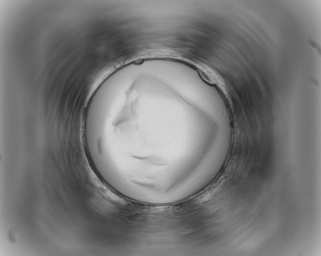 X0000096411390200802141531