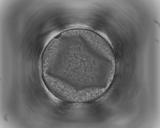 X0000096411391200802141531