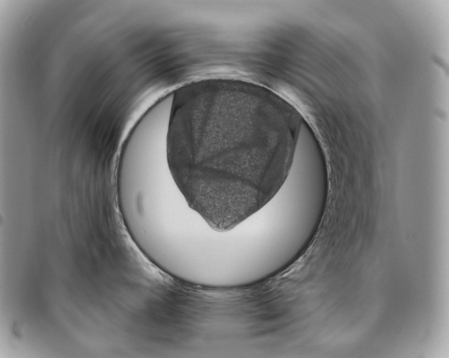 X0000096411392200802141531