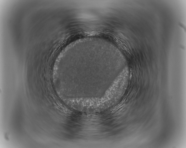 X0000096411393200802141530