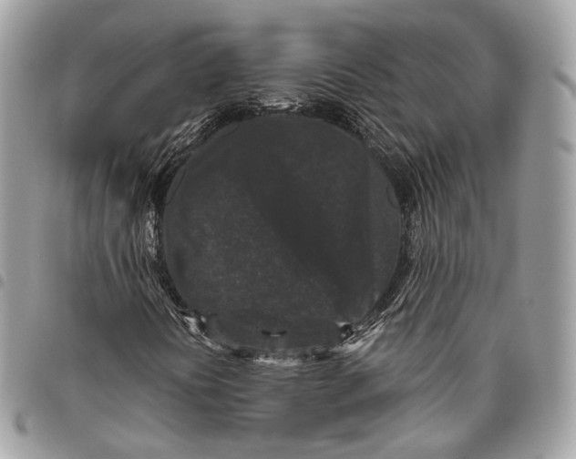 X0000096411394200802141530