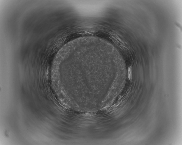 X0000096411395200802141530