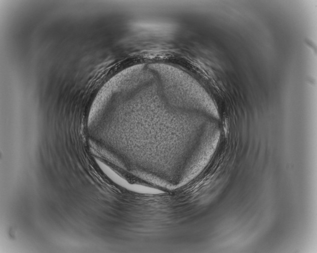 X0000096411396200802141530