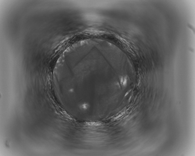 X0000096411397200802141530