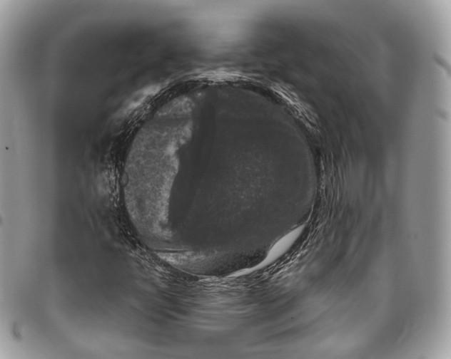 X0000096411398200802141530