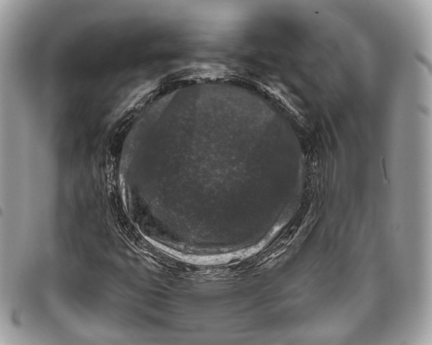 X0000096411399200802141530