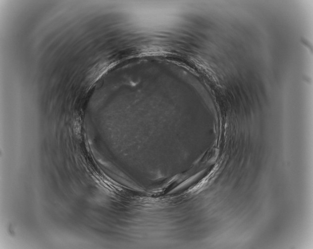 X0000096411401200802141530