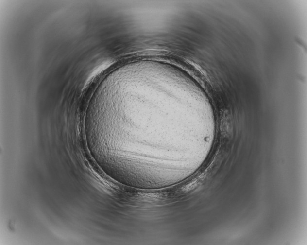 X0000096411402200802141530