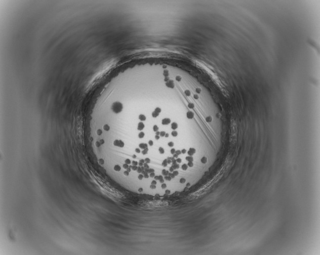 X0000096411403200802141530