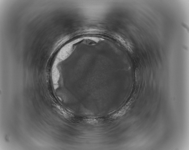 X0000096411405200802141530