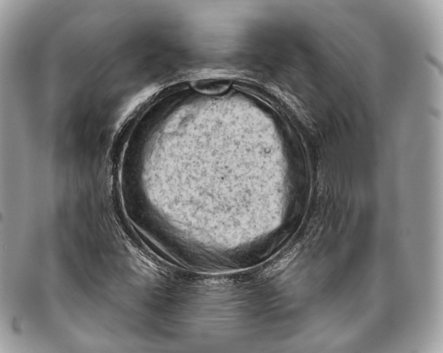 X0000096411406200802141530