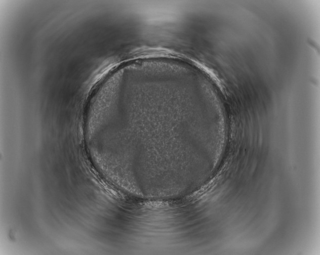 X0000096411407200802141530