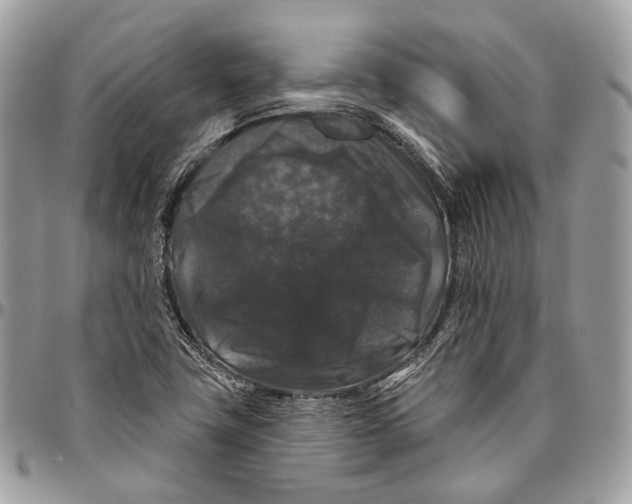 X0000096411411200802141531