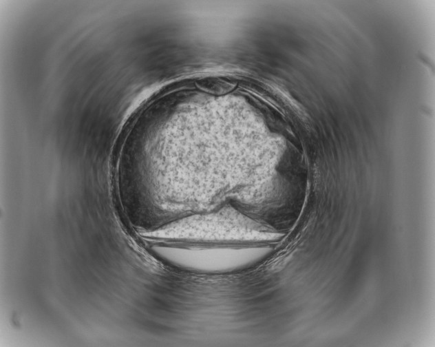 X0000096411412200802141531