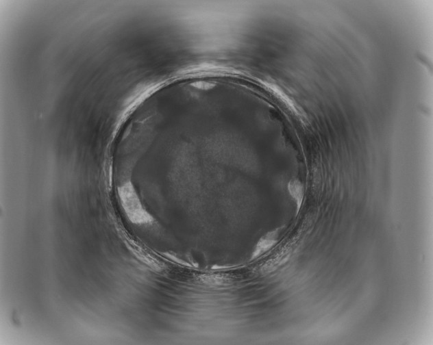 X0000096411413200802141531