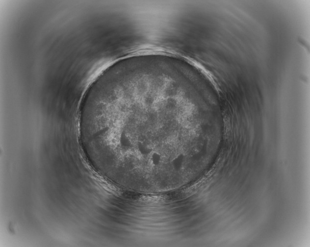 X0000096411415200802141531