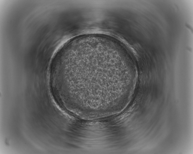 X0000096411416200802141531