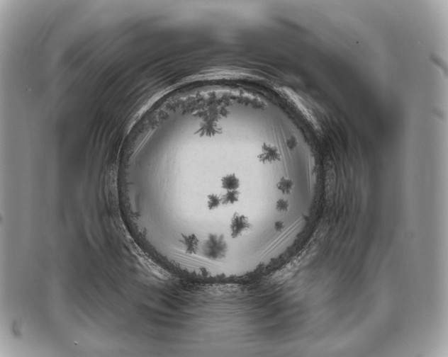 X0000096411417200802141531