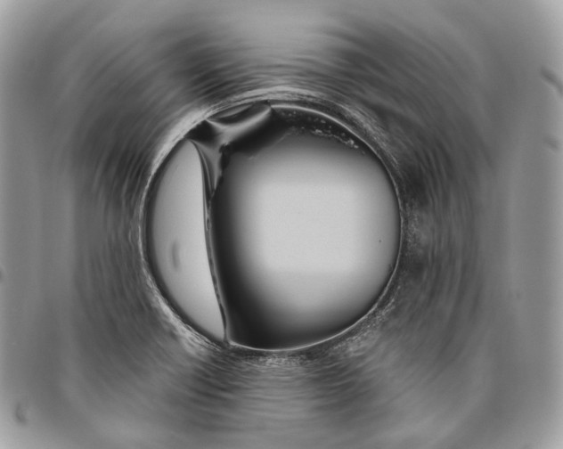 X0000096411418200802141531