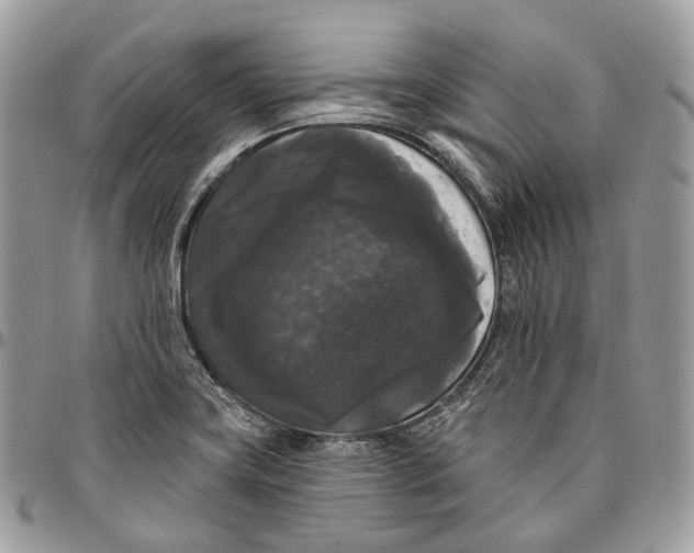 X0000096411419200802141531