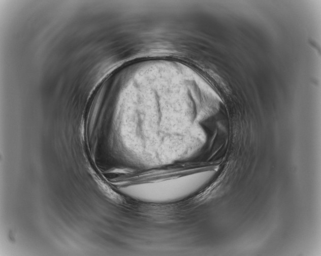 X0000096411420200802141531