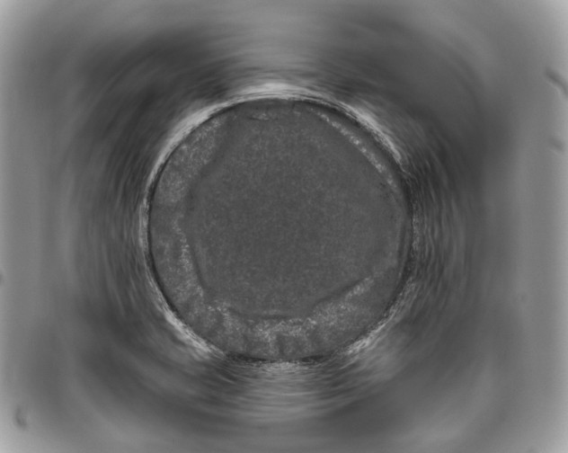 X0000096411421200802141531