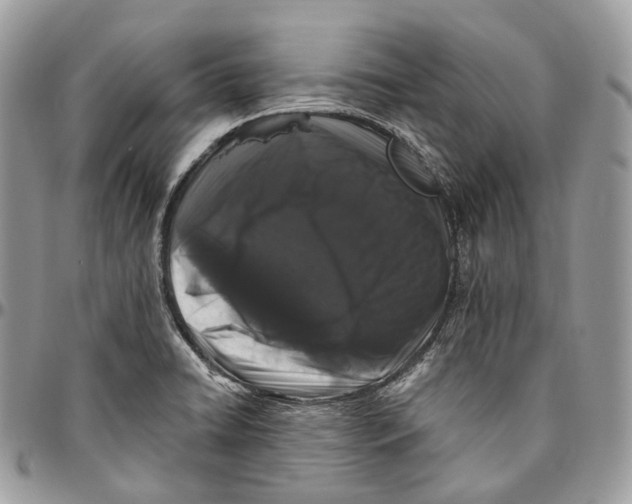 X0000096411422200802141531