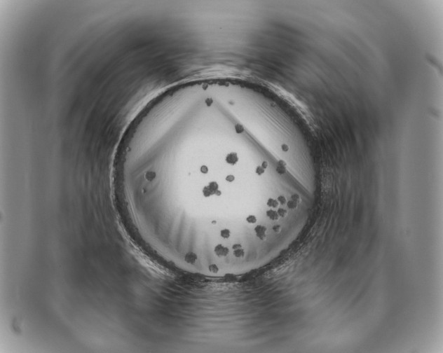 X0000096411423200802141531