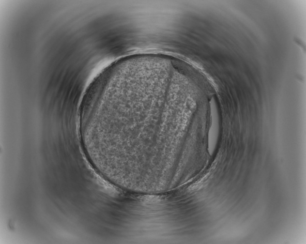 X0000096411424200802141531