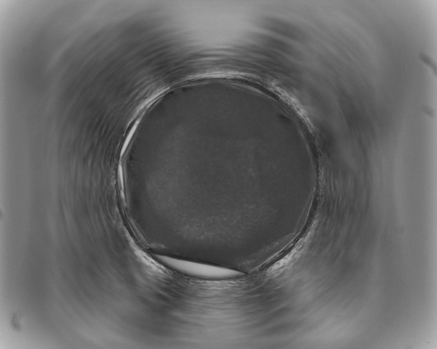 X0000096411425200802141531