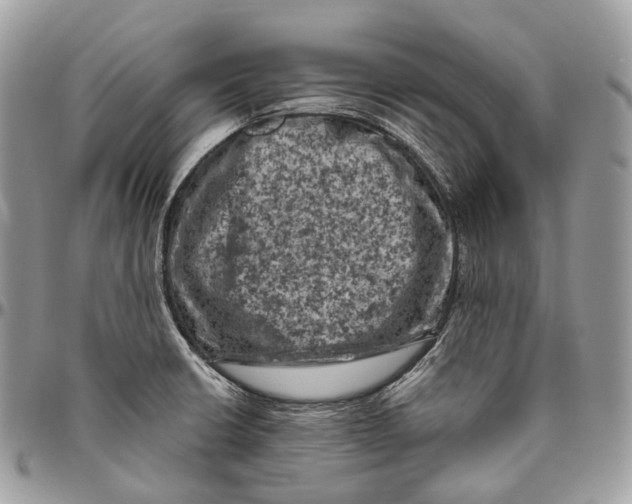 X0000096411426200802141531