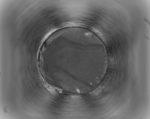 X0000096411427200802141531