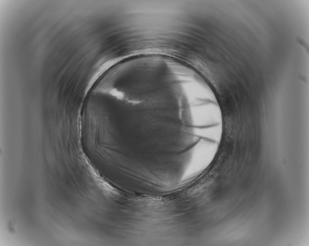 X0000096411428200802141531