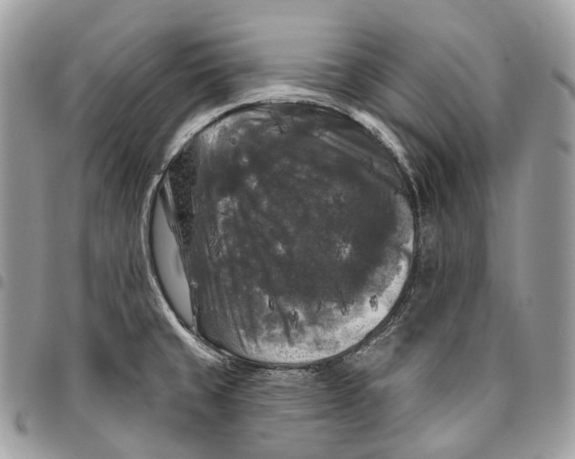 X0000096411429200802141531