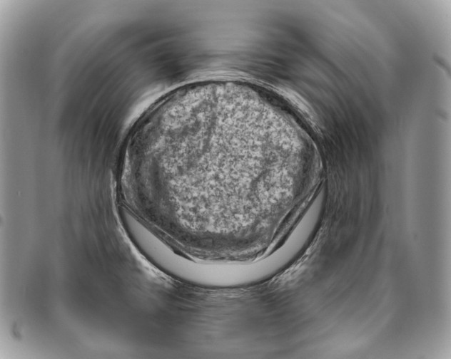 X0000096411430200802141531