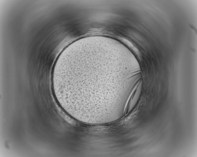 X0000096411431200802141531