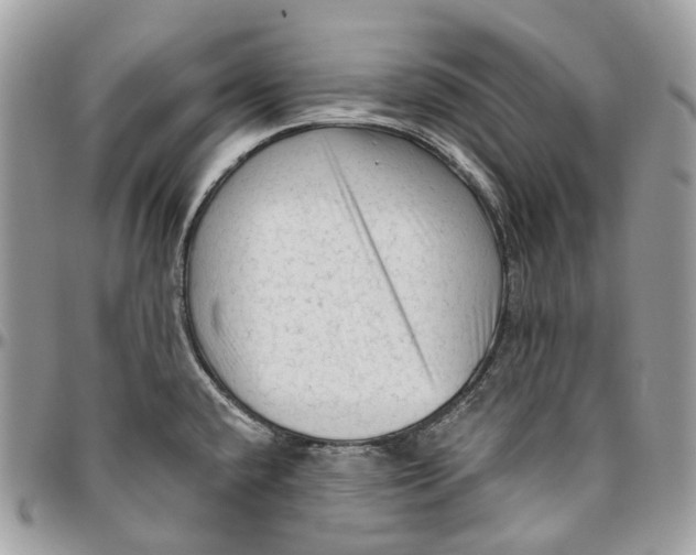 X0000096411432200802141531