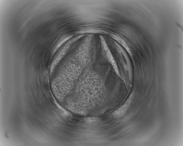 X0000096411433200802141531