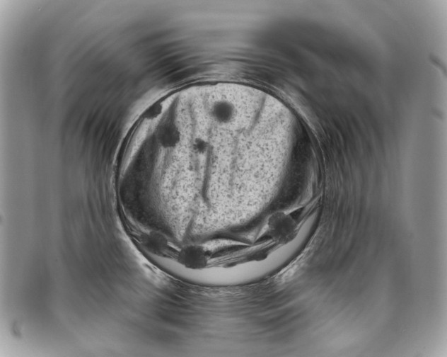 X0000096411434200802141531