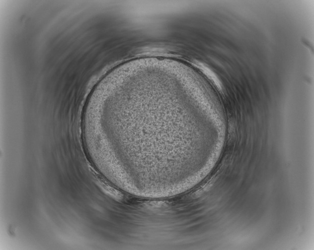 X0000096411435200802141531