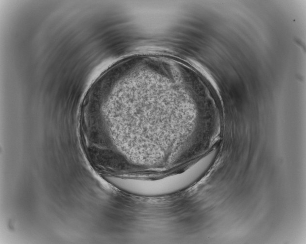 X0000096411437200802141531