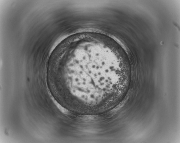 X0000096411438200802141531