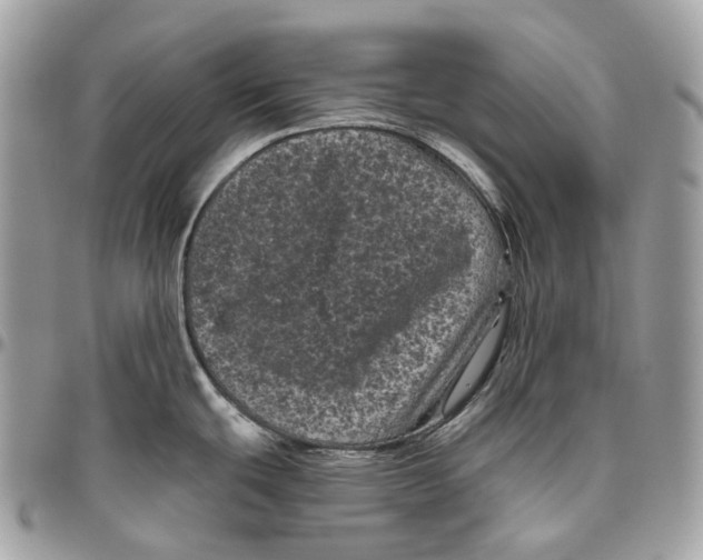 X0000096411439200802141531