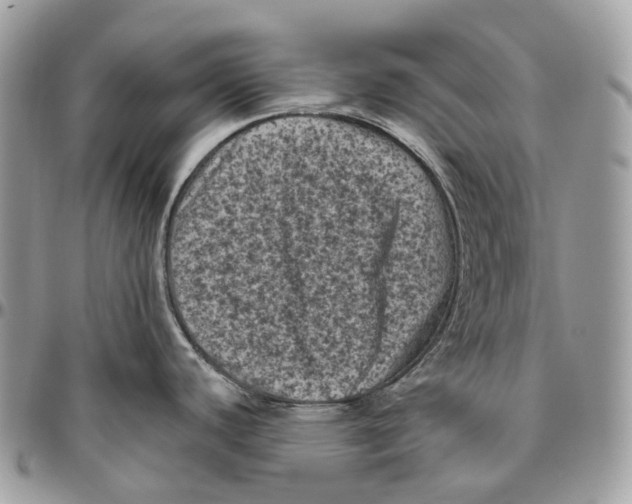 X0000096411440200802141531