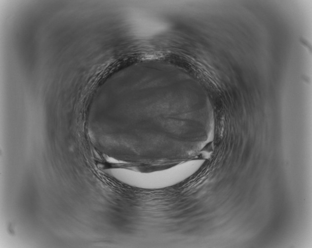 X0000096411441200802141530