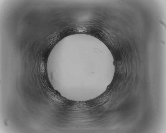 X0000096411442200802141530