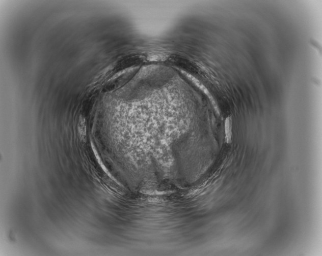 X0000096411443200802141530